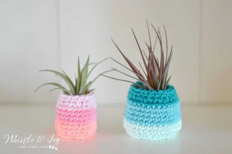 Crochet Air Plant Pot