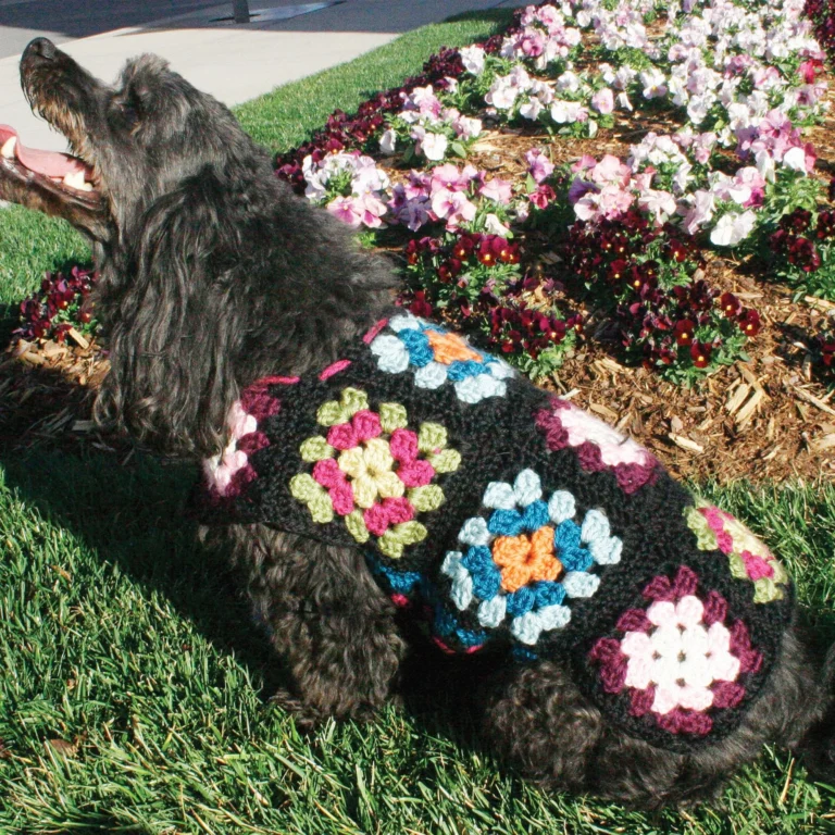 Crochet granny square sweater designed for dogs, perfect for warmth and style.